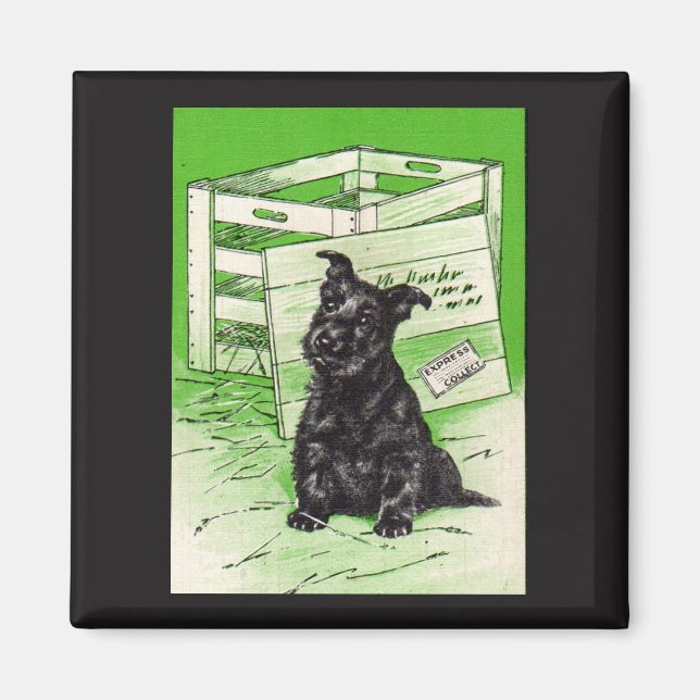 Scottie dog by special delivery magnet (Front)