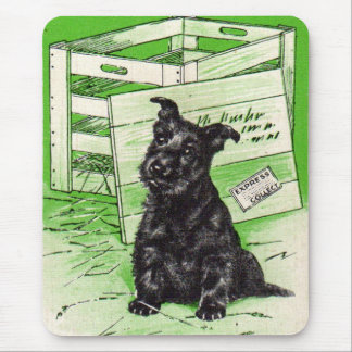Scottie dog by special delivery mouse pad