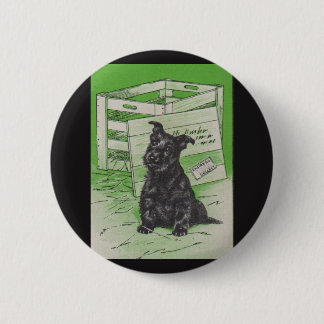 Scottie dog by special delivery pinback button