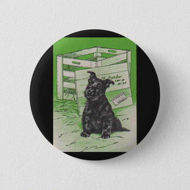 Scottie dog by special delivery pinback button (Front)