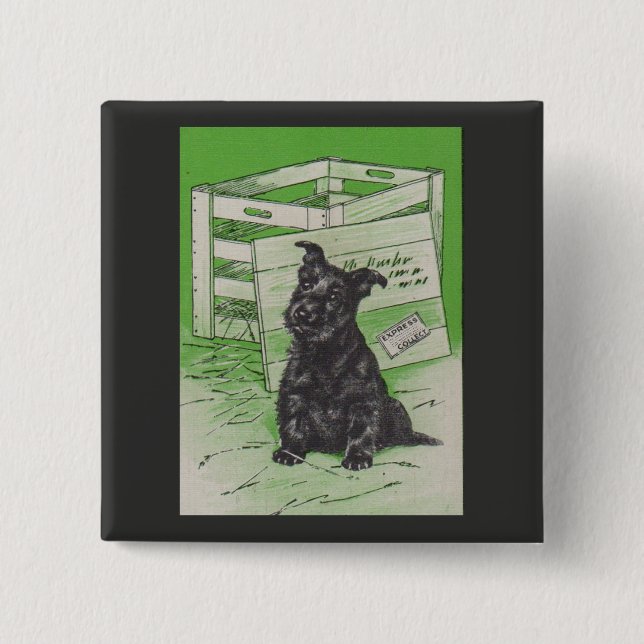 Scottie dog by special delivery pinback button (Front)