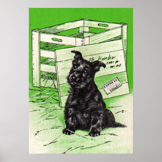 Scottie dog by special delivery poster