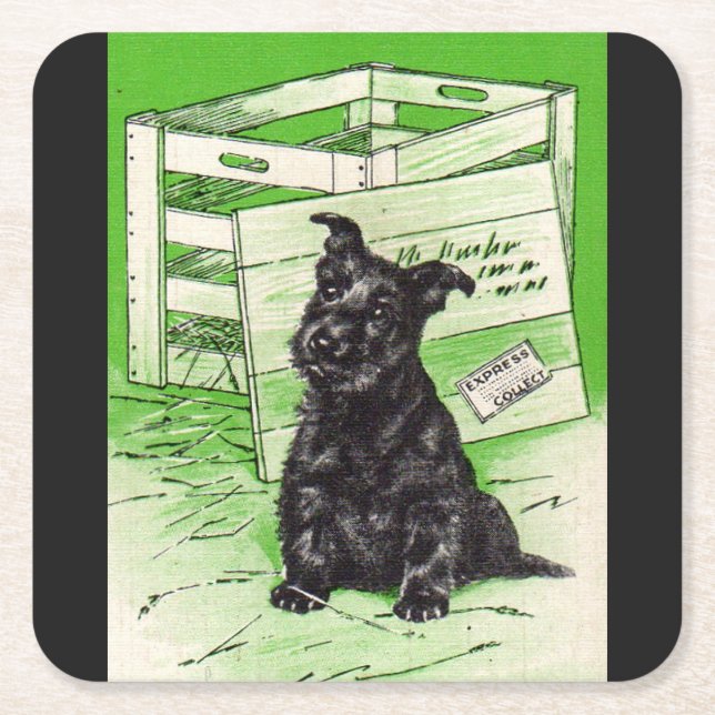 Scottie dog by special delivery square paper coaster (Front)