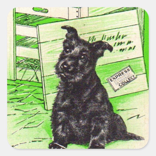 Scottie dog by special delivery square sticker (Front)