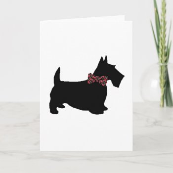 Scottie Dog In Plaid Bow Tie Card by ScottiesByMacFrugal at Zazzle