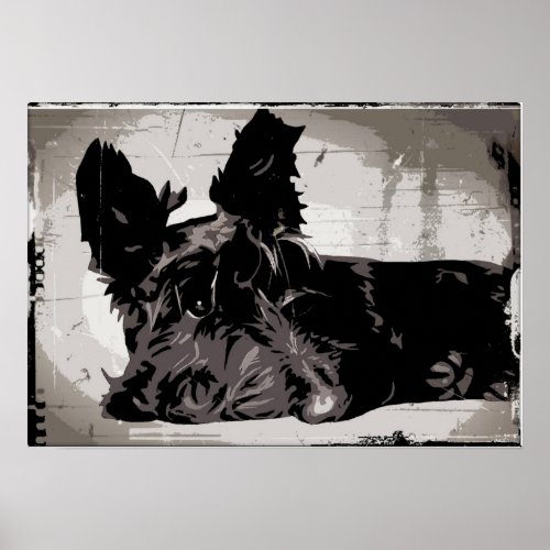Scottie dog resting with urban style background poster