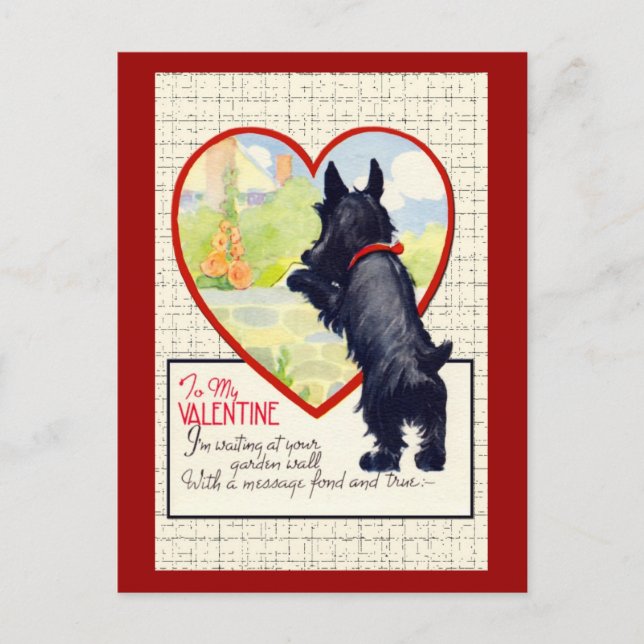 Scottie dog Valentine Scottish Terrier Holiday Postcard (Front)