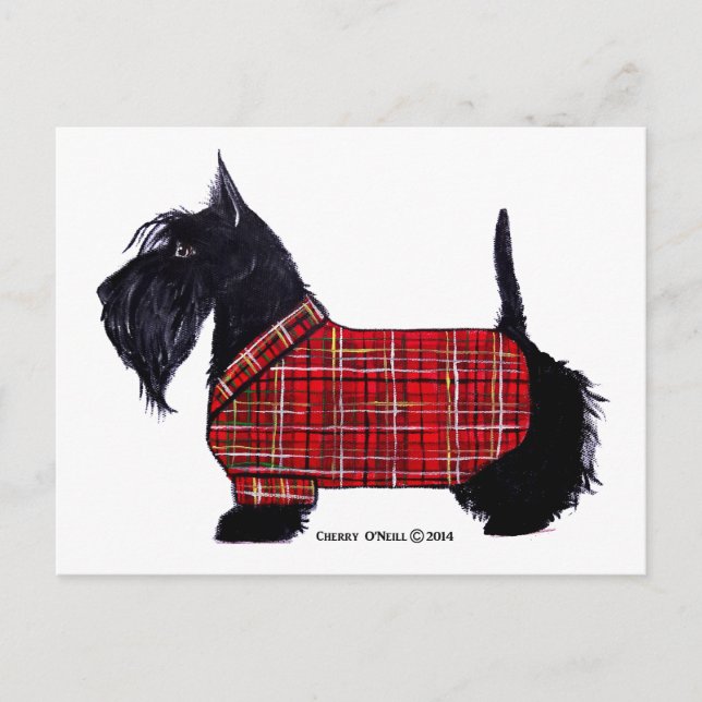 Scottie Holiday Jacket Postcard (Front)