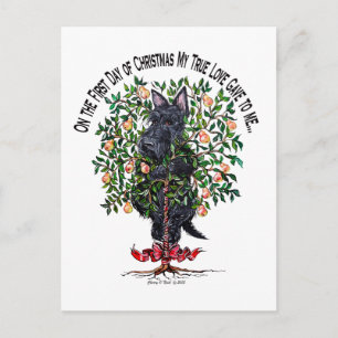Scottie in a Pear Tree Postcard