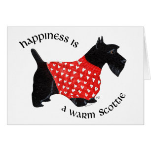 Scottie in Red Plaid Sweater