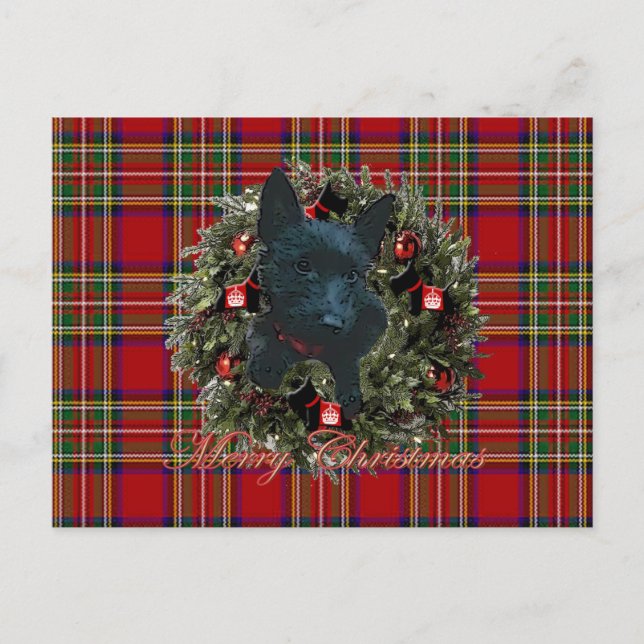 Scottie Merry Christmas Holiday Postcard (Front)
