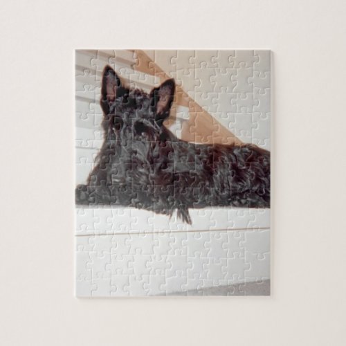 scottie on stairs jigsaw puzzle