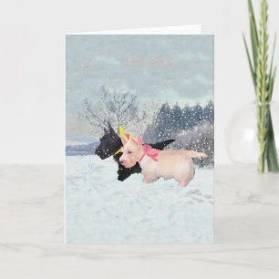 Scottie Pups Holiday Card