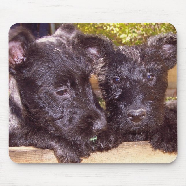 Scottie Pups Mouse Pad (Front)