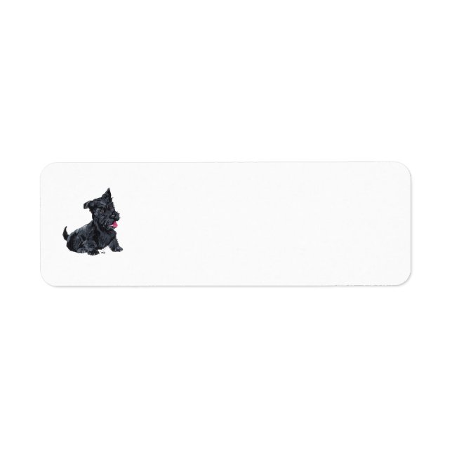 SCOTTIE Return Address Labels (Front)