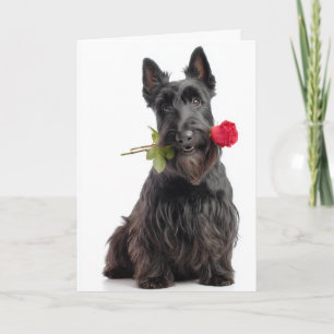 Scottie Valentine – Steadfast Love & Loyalty Card