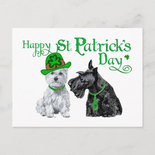 Scottie  Westie St Paddys Day Postcard