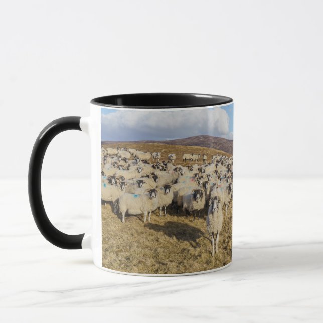 Scottish Blackface Sheep Herd Mug (Left)