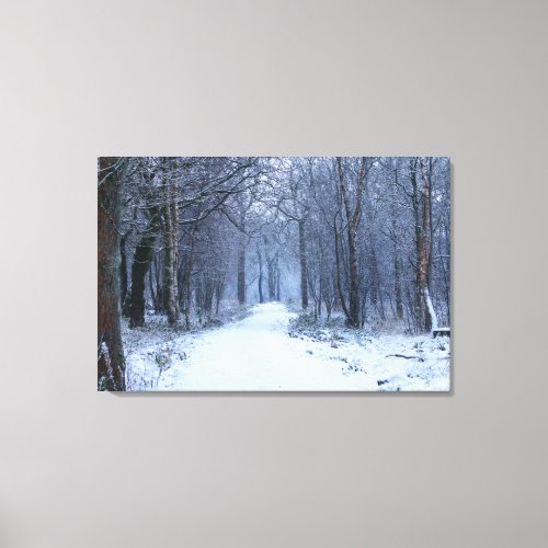 Scottish Bluebell Woods in Winter Canvas Print