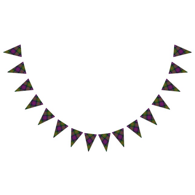 Scottish Clan Carnegie Tartan Bunting Flags (All)