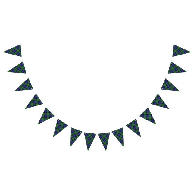 Scottish Clan MacEwen Tartan Bunting Flags (All)