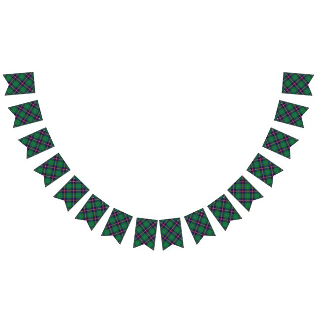 Scottish Clan Young Tartan Bunting Flags (All)