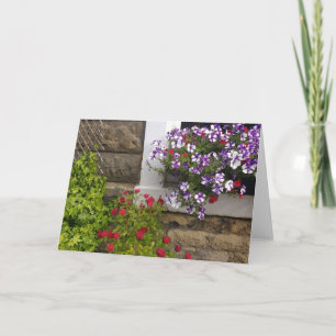 Scottish cottage window with petunias and roses card