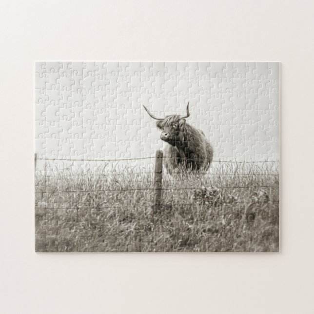 Scottish cow photograph jigsaw puzzle (Horizontal)
