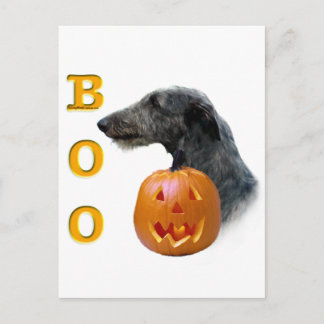 Scottish Deerhound Boo Postcard