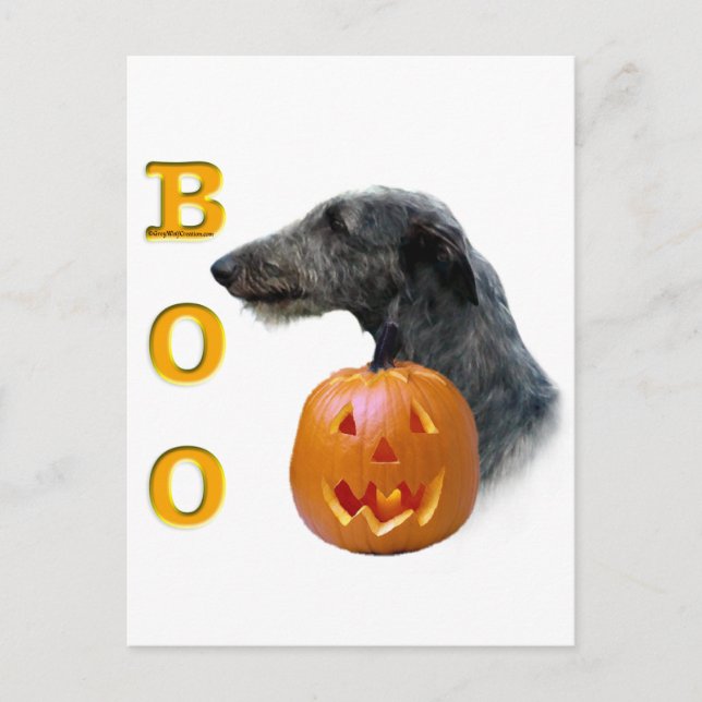 Scottish Deerhound Boo Postcard (Front)