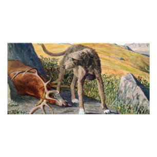 Scottish deerhound card