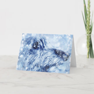 Scottish Deerhound Christmas Card