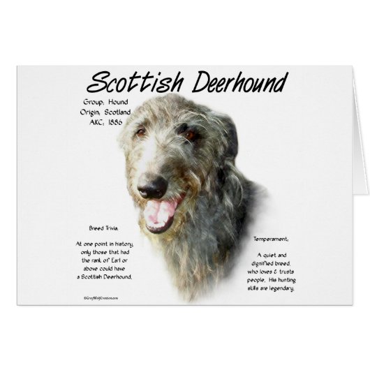 Scottish Deerhound History Design Cards (Front Horizontal)