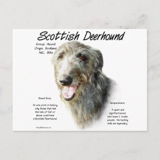 Scottish Deerhound History Design Postcard