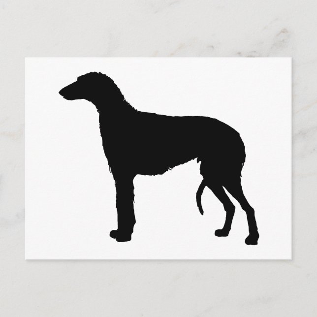 scottish deerhound silhouette postcard (Front)