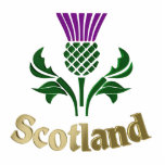 Scottish emblem thistle cutout<br><div class="desc">Scottish emblem thistle</div>