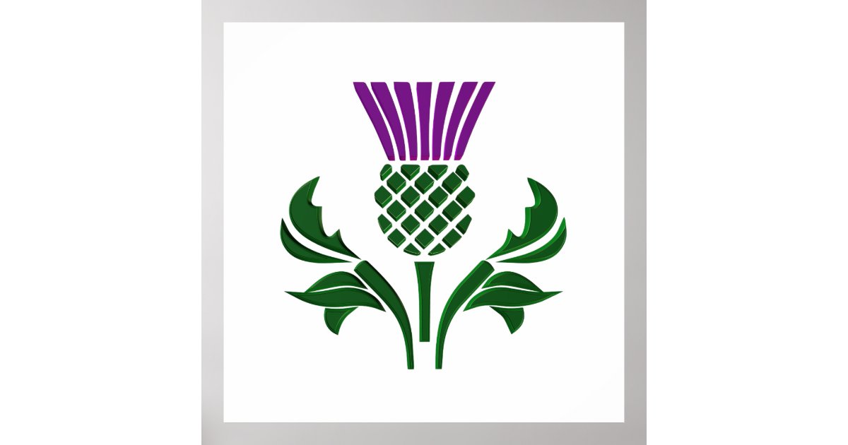 Scottish emblem thistle poster Zazzle