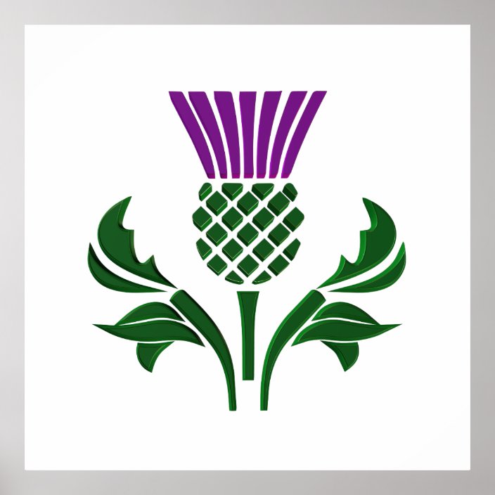 Scottish emblem thistle poster | Zazzle.com