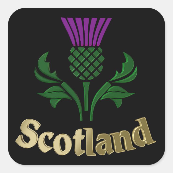 Scottish emblem thistle square sticker Zazzle