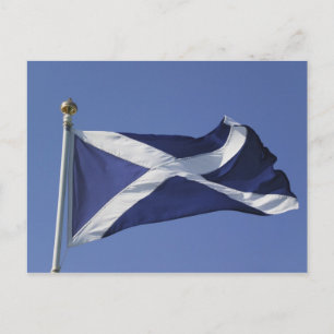 Scottish Flag Postcard