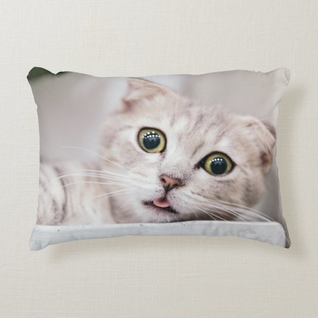 Scottish Fold Accent Pillow (Front)