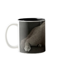 scottish fold cat coffee mug