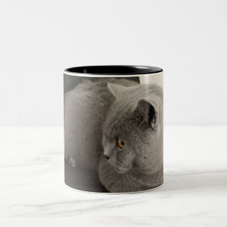 scottish fold cat coffee mug