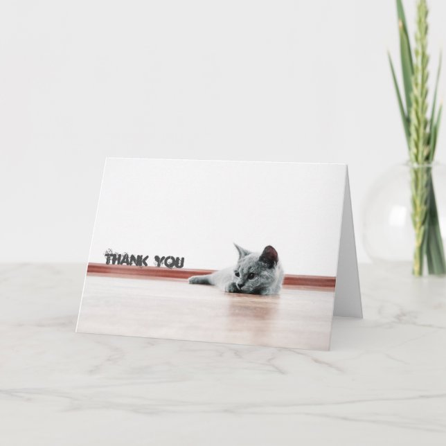 Scottish Fold Cat Kitten Super Cute "Thank You" Thank You Card (Front)