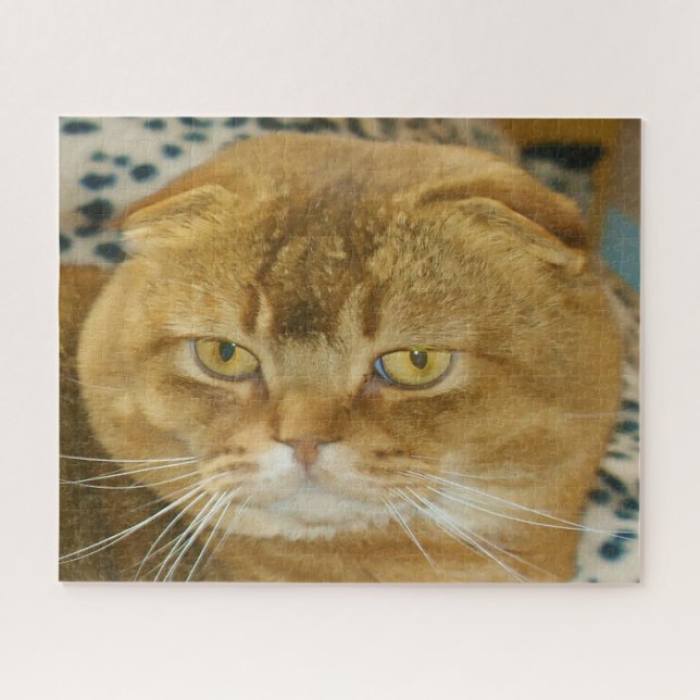 Scottish Fold Cat Pedigree. Jigsaw Puzzle (Horizontal)