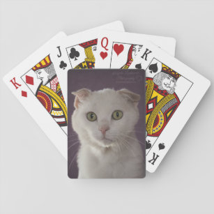 Scottish fold Cat Playing Cards
