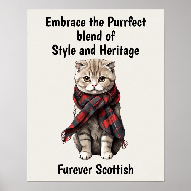 Scottish Fold Cat Poster (Front)