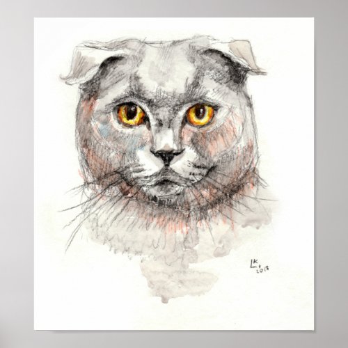 Scottish Fold Cat Poster