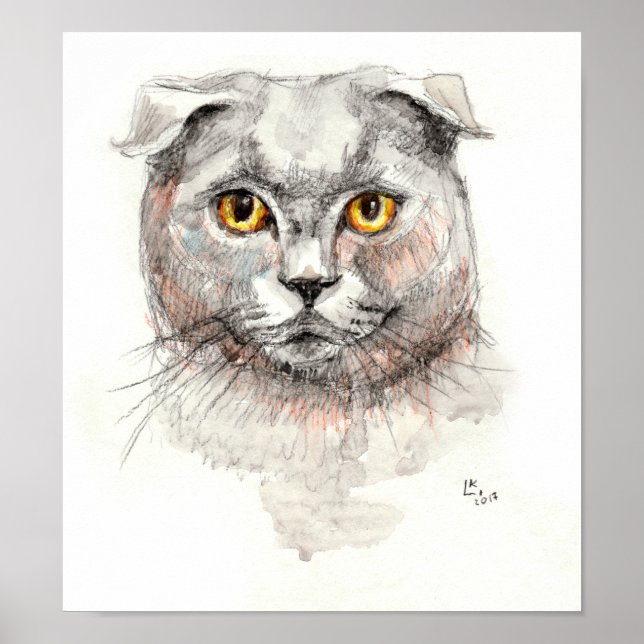 Scottish Fold Cat Poster (Front)
