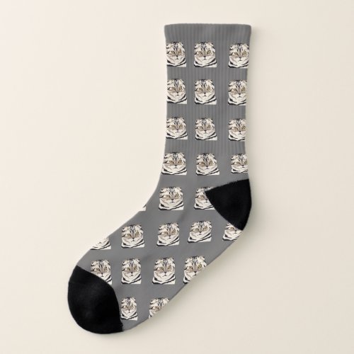 Scottish Fold Cat Socks